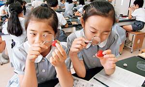 小学校：理科 植物観察の時間